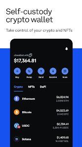 Bitcoin Wallet Screenshot Generator - Top Info