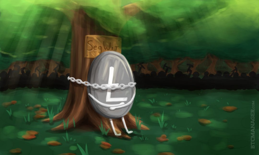 Litecoin: Three years since SegWit activation, usage stands above 70% - AMBCrypto