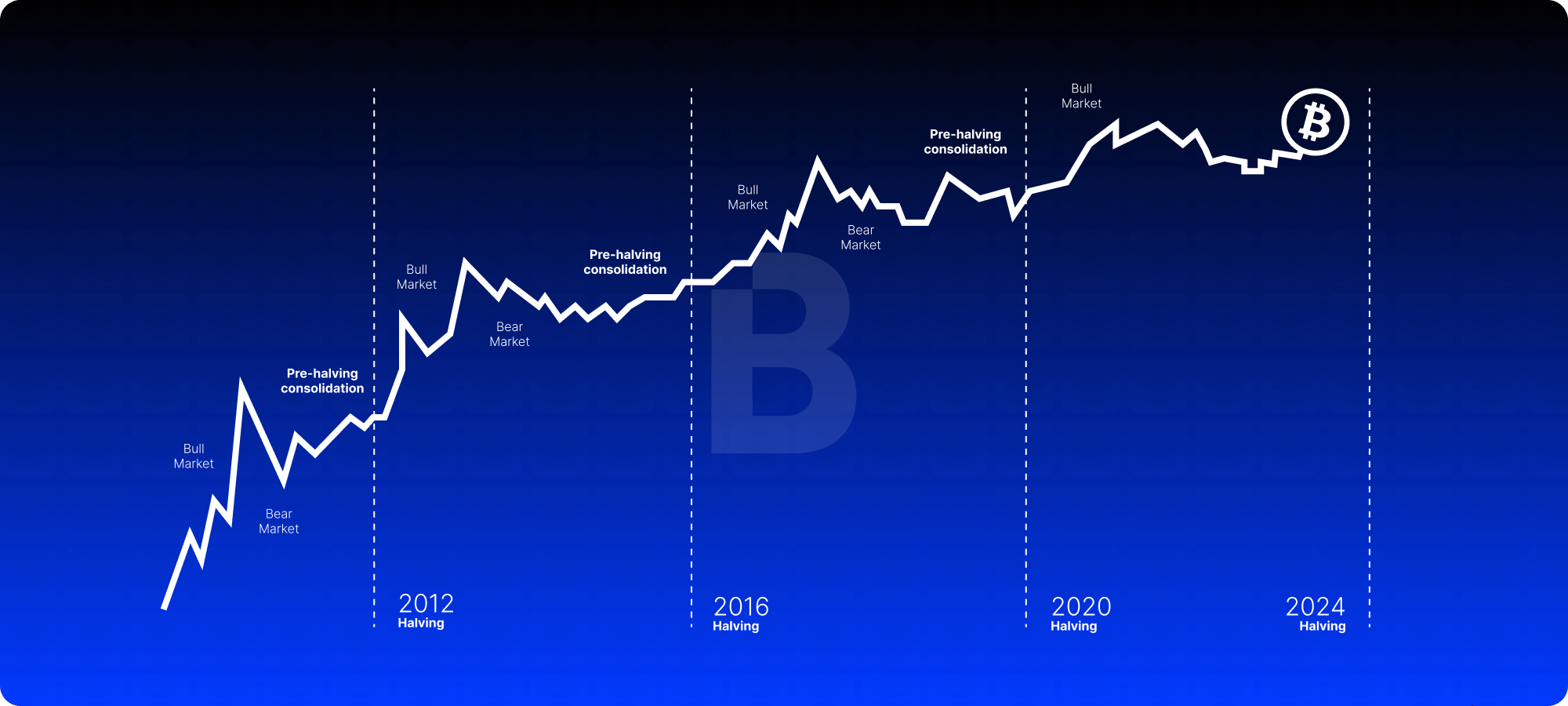 Bitcoin Halving All you need to know | Plus