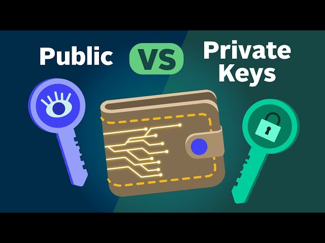 How to Get Your Private Key in Trust Wallet