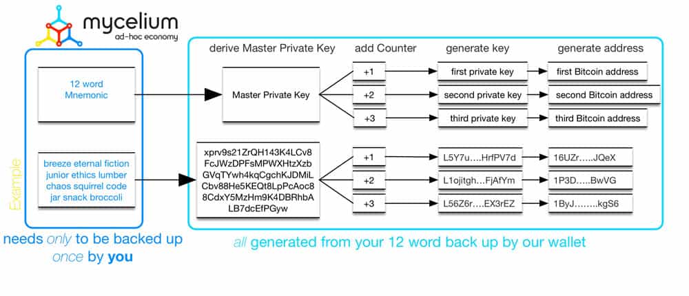 What Is A Bitcoin Derivation Path? - The Bitcoin Manual