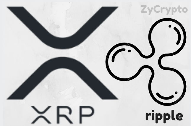 Ripple (XRP) centralization debate: A heated argument!