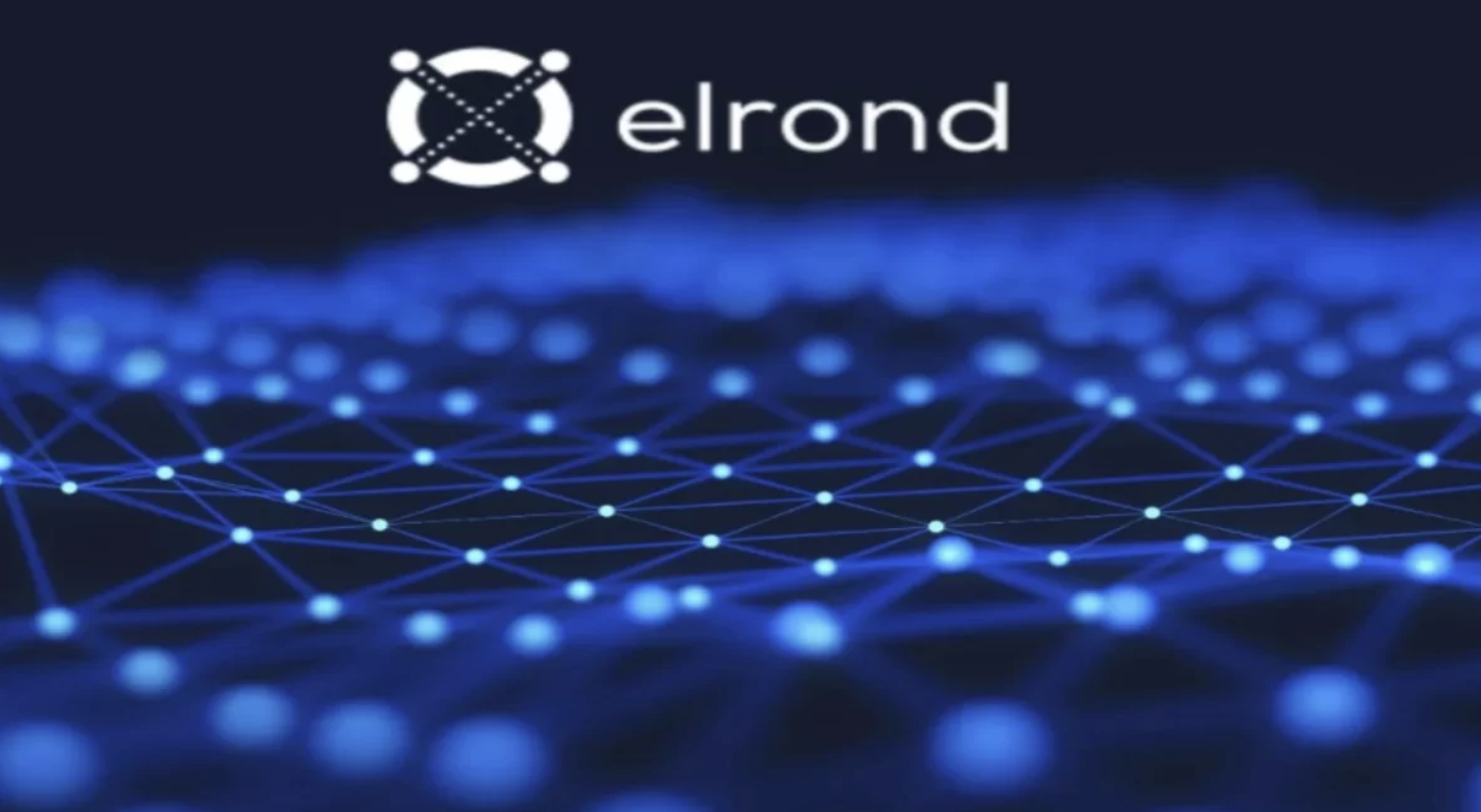 MultiversX (Elrond) Review: How Does the EGLD Coin Work?