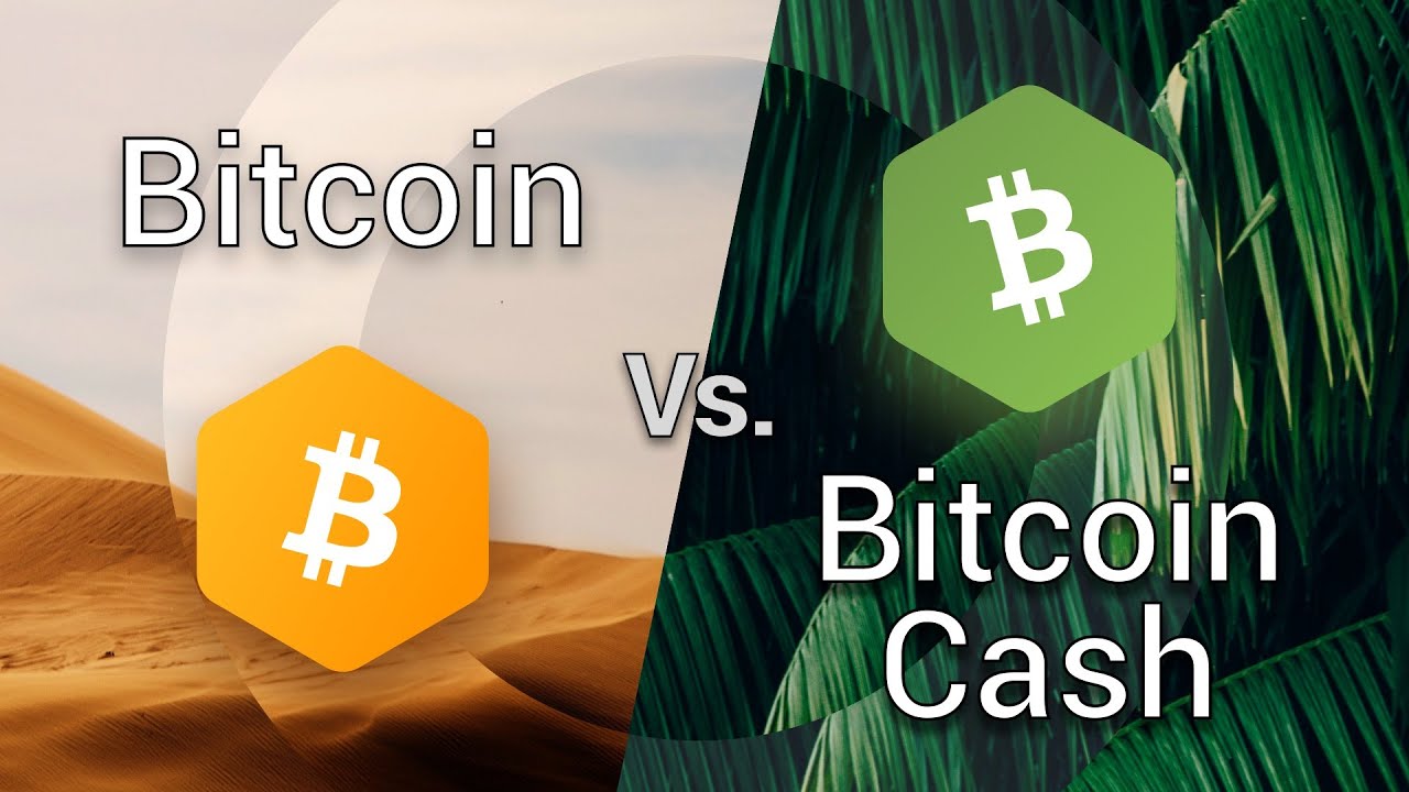 Bitcoin vs Bitcoin Cash - Key Differences and Similarities