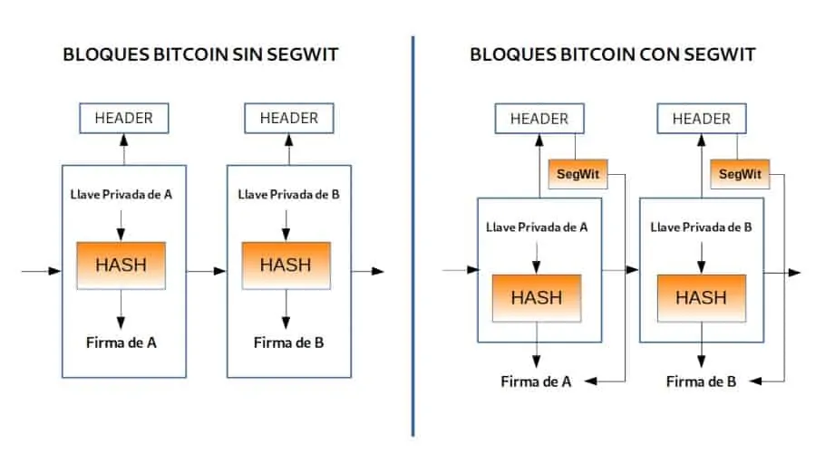 Segregated Witness - what is Segwit Bitcoin all about? - Kanga University