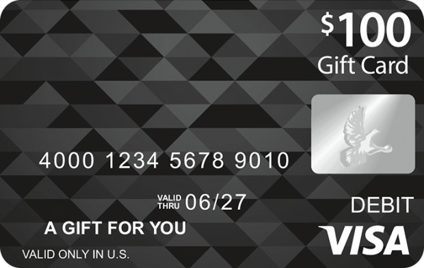 Guide to Vanilla Visa Gift Cards | LoveToKnow