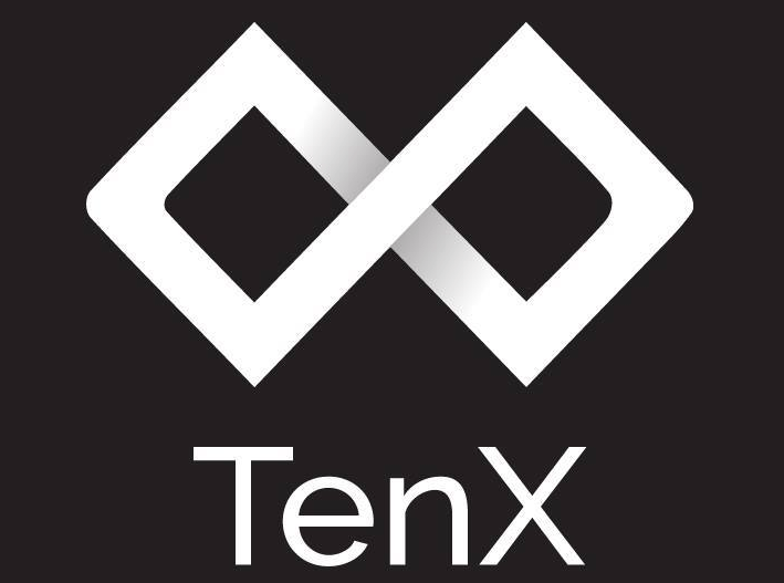 What Is TenX (PAY): All You Need To Know