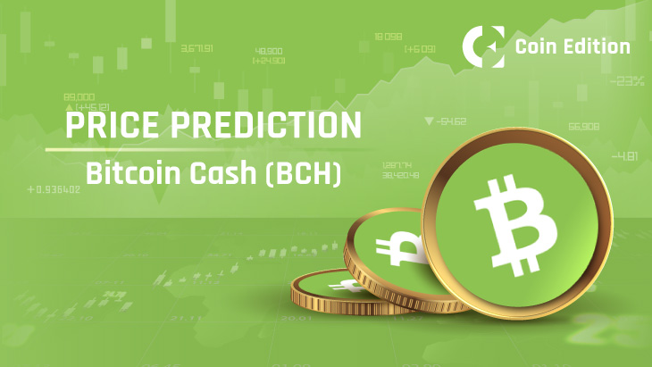 Bitcoin Cash Price Prediction and Beyond