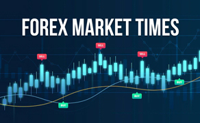 Share Market Timings | BSE & NSE, Opening & Closing | Bajaj Broking