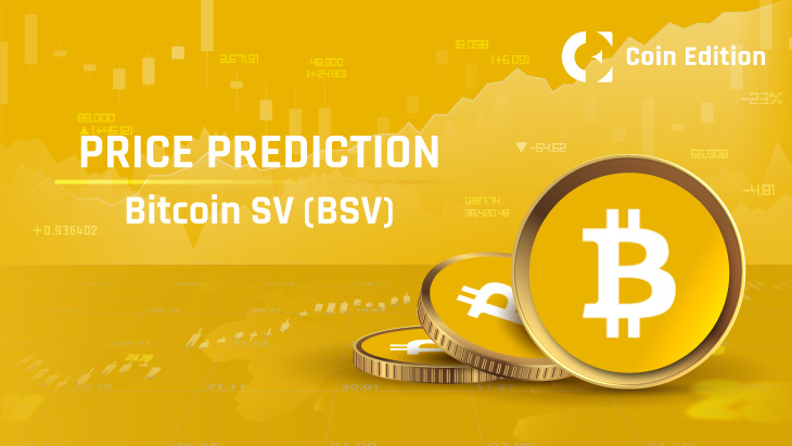 Bitcoin Cash (BCH) Price Prediction - 