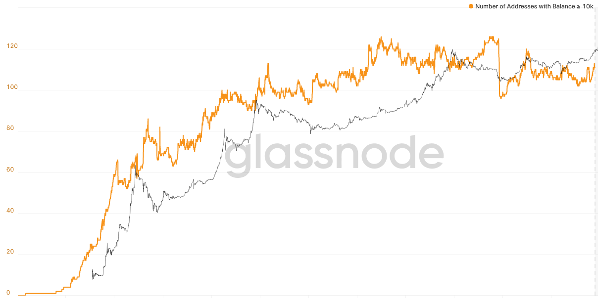 How Many People Own, Hold & Use Bitcoins? ()