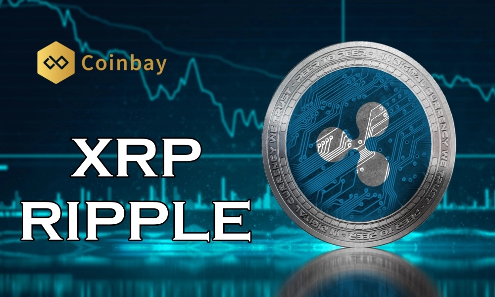 Is XRP Centralized or Decentralized?