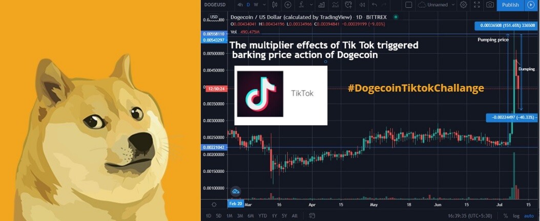 Dogecoin surges 26% after a TikTok video: Such pump, Much wow - AMBCrypto