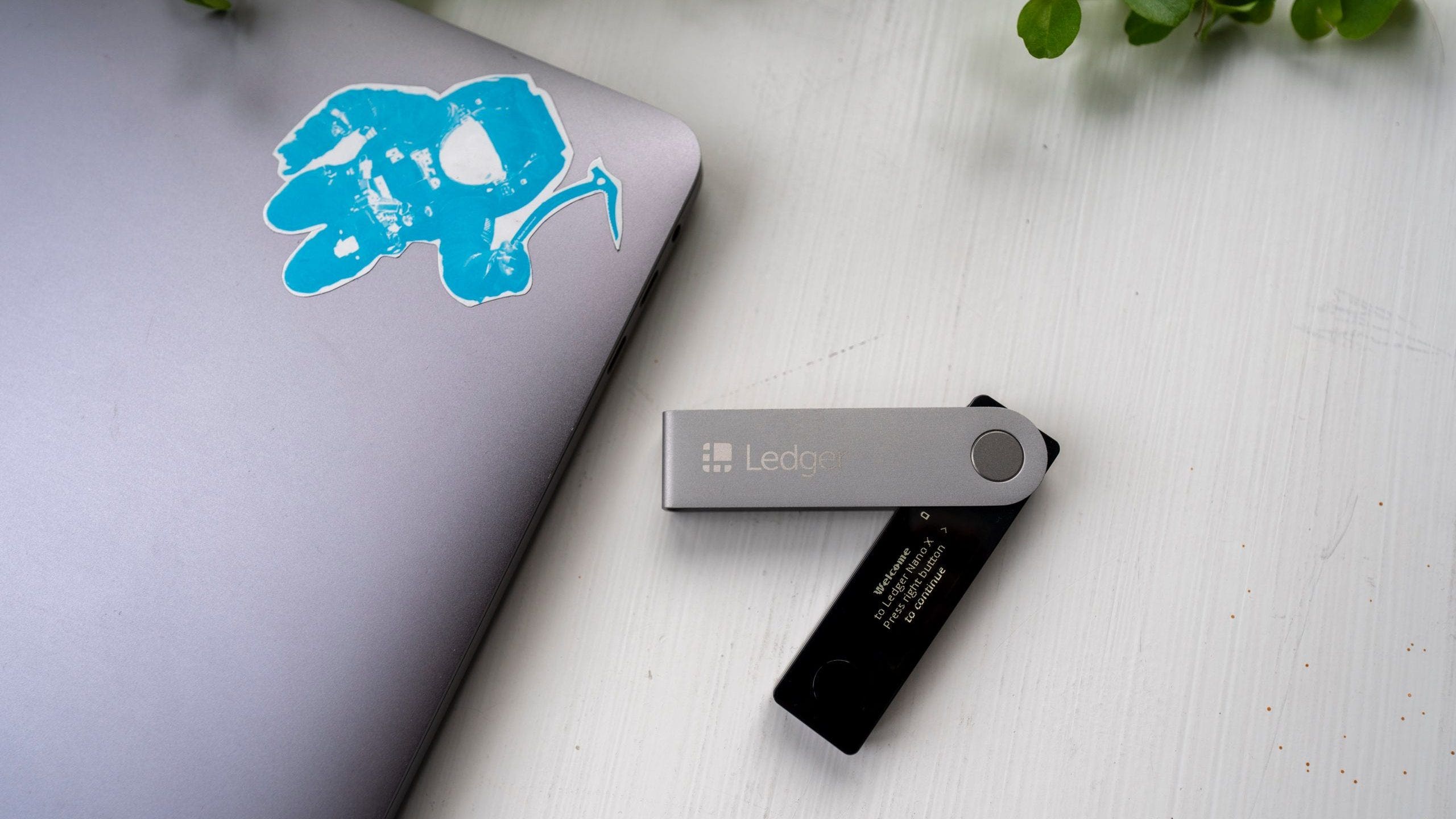 BEST Crypto Hardware Wallets of Top Crypto Wallets Reviewed