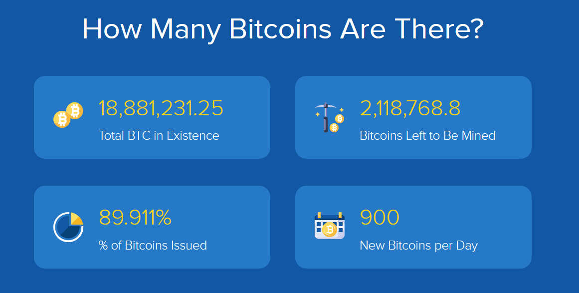 Top Richest Bitcoin Addresses and Bitcoin distribution