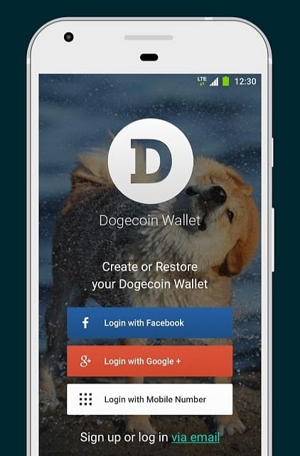 What Is the Best Dogecoin Wallet?