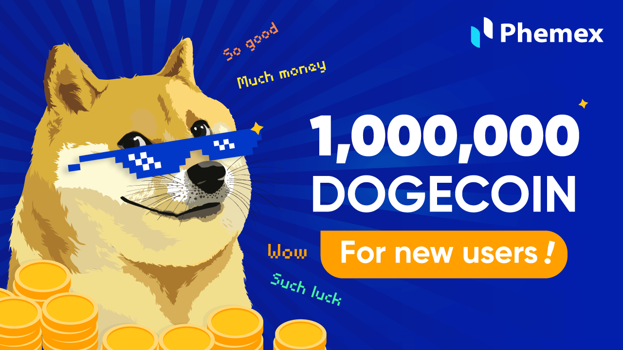 Convert 1 DOGE to USD - Dogecoin price in USD | CoinCodex