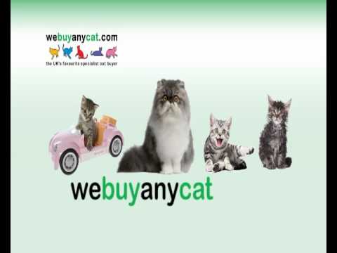 Boyd CAT CAT's 24/7 Part Store in KY & IN Dealers