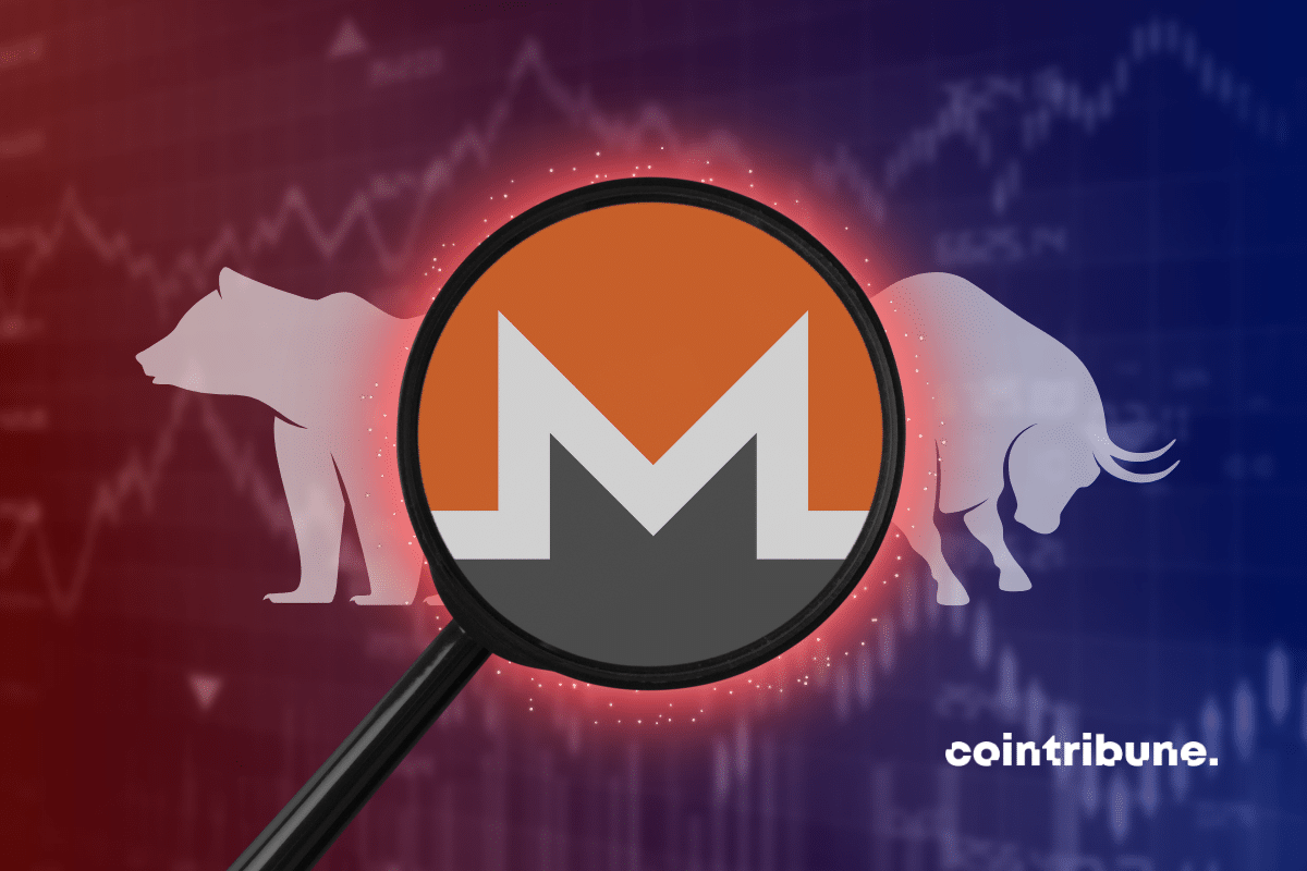 XMR to USD Converter, Convert Monero to United States Dollar - CoinArbitrageBot