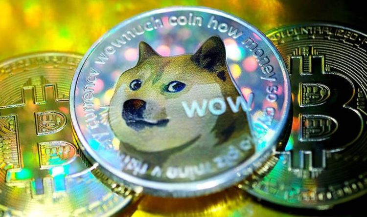 Dogecoin Price | DOGE Price Index and Live Chart - CoinDesk