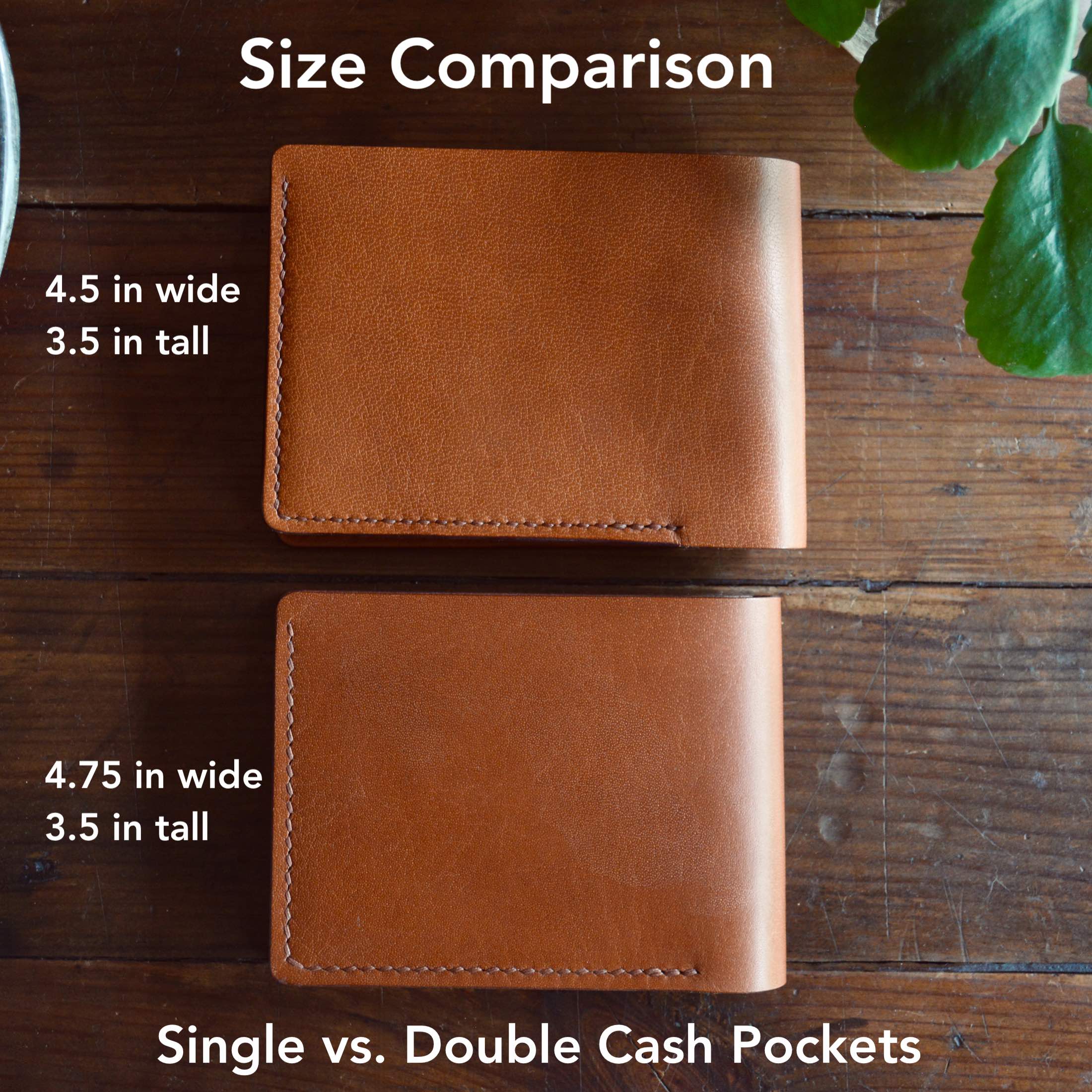 Top Fusionist (ACE) Wallets | CoinCarp