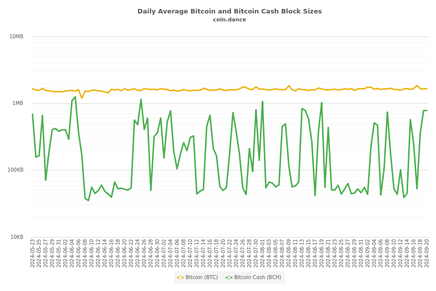 Bitcoin Cash ABC vs. Bitcoin Cash SV – Examining the Bitcoin Cash Hash War | cryptolive.fun