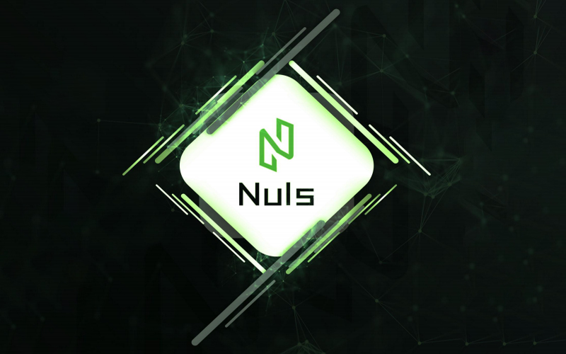 What Is NULS? | A Guide to the Modular Blockchain