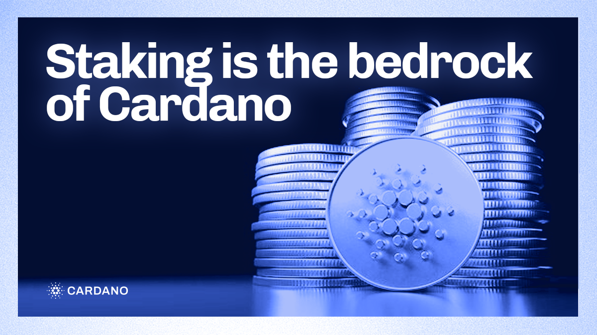 Cardano Staking: An Overview