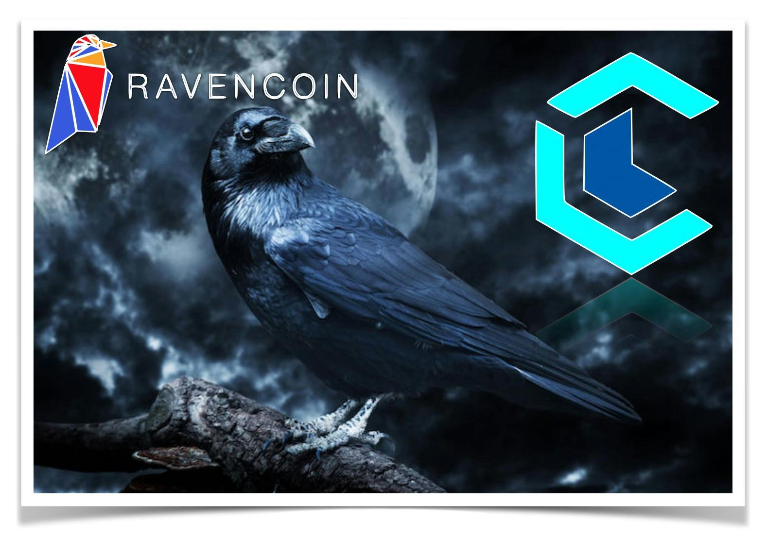 ‎RVN Wallet on the App Store