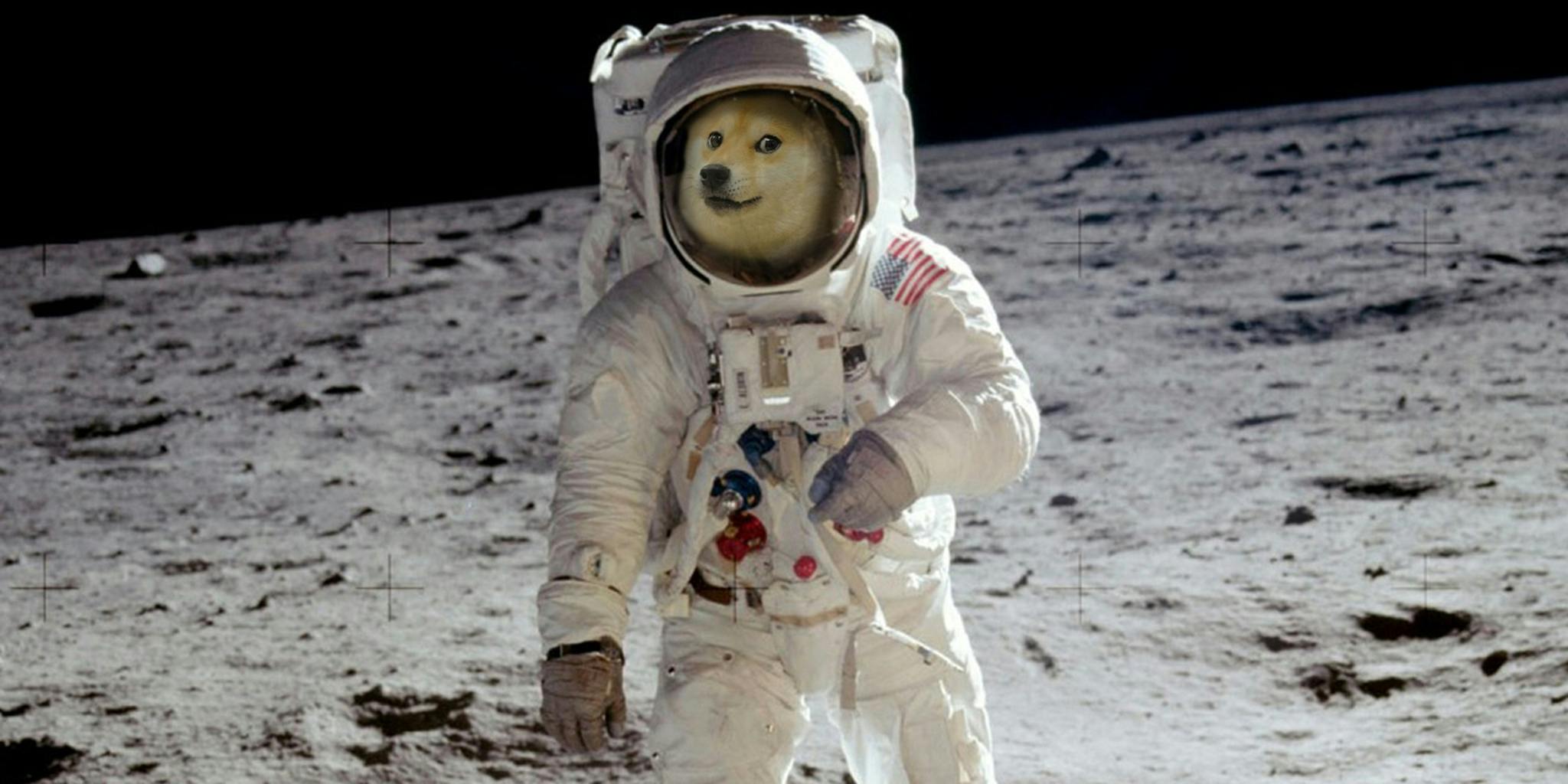 DOGE-1 Moon Mission Date Confirmed, SpaceX To Launch Next Year