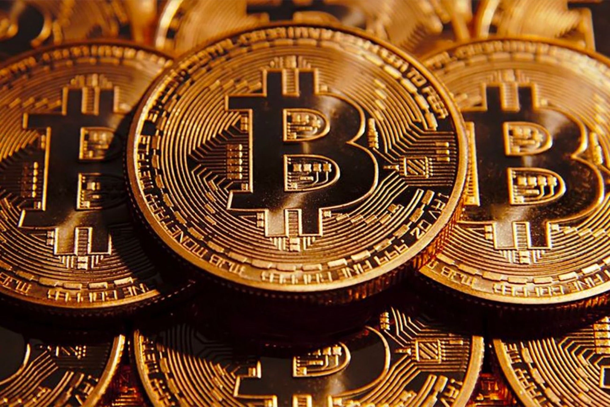 Best Bitcoin and Crypto Wallets for March - CNET Money