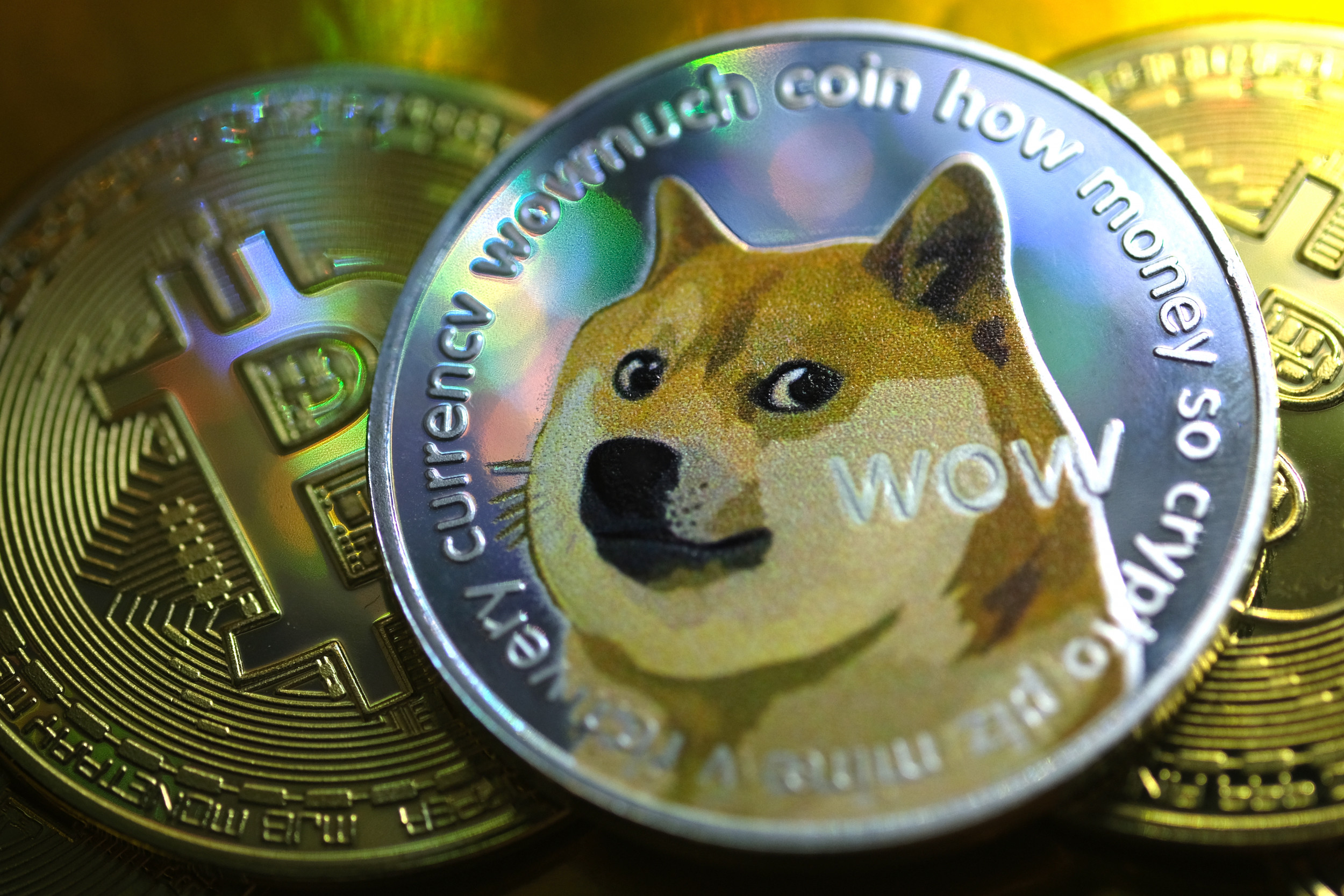 Bitcoin vs Dogecoin - 7 Differences Between Bitcoin and Dogecoin - GeeksforGeeks