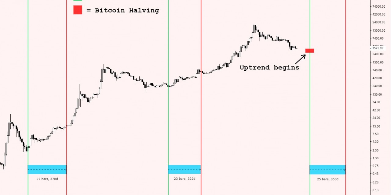 The Bitcoin Halving Unveiled: Key Highlights and Insights