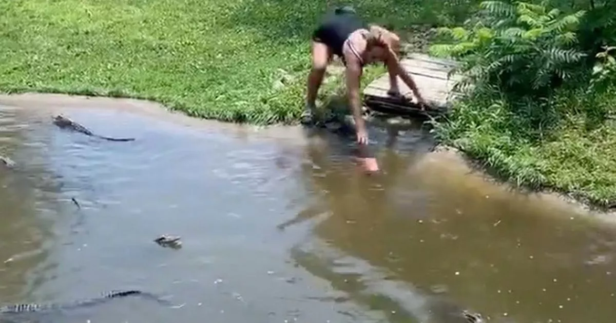 Woman and Child Climb Into Alligator Pit to Retrieve Wallet - Realtree Camo