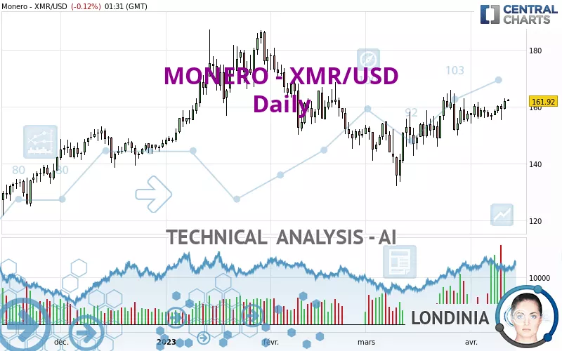 XMR/USD Dynamics: Real-time Monero Conversion | Bitsgap