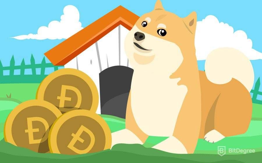 How to Mine Dogecoin? [Step-by-Step Guide]