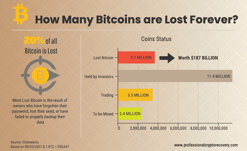 How Much Bitcoin Is Lost Forever? Bitcoin Amount - cryptolive.fun