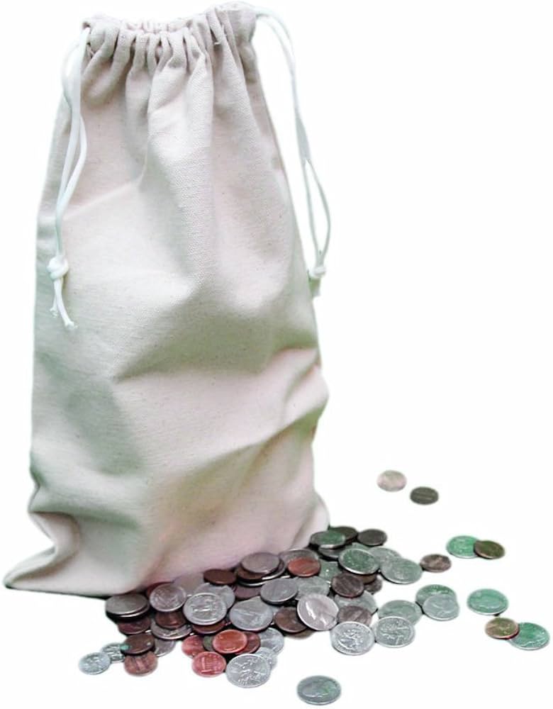 Handled Coin Bags - Holds up to 50 lbs. of Coin - Case of 