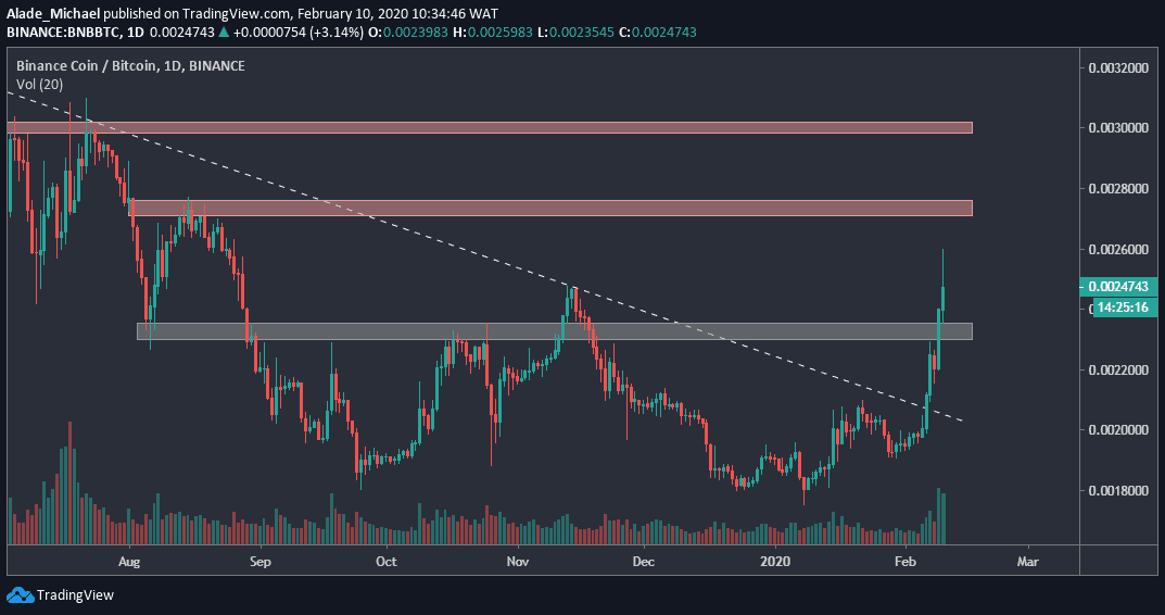 BNB price: bnb to USD chart | Ledger