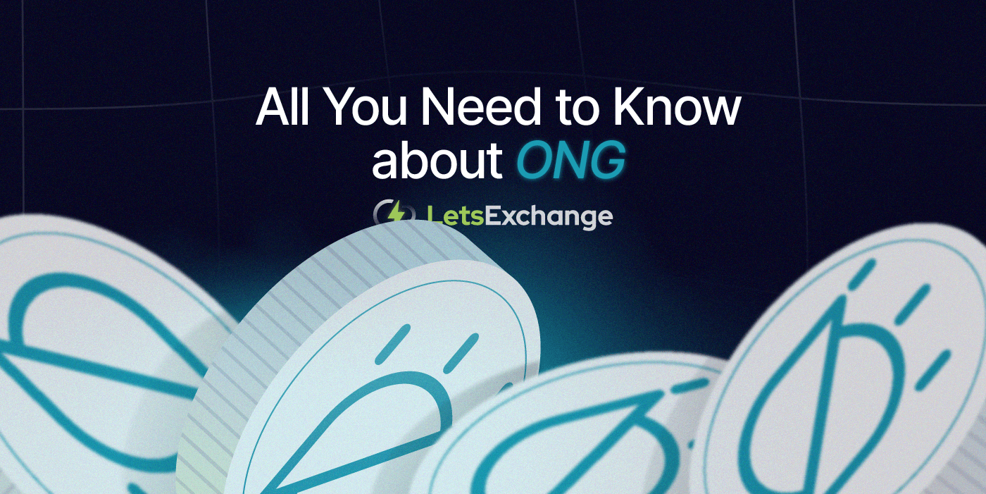 Ontology Gas (ONG)