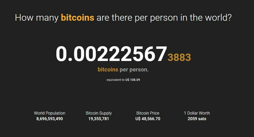 How Much BTC Would You Get If Every Single Person Got An Equal Share Of Bitcoin? | cryptolive.fun