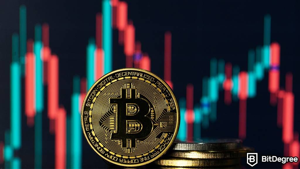 Cryptocurrencies and digital money in - DW Observatory