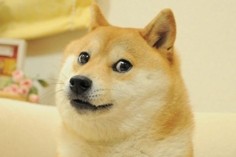 Did Dogecoin Start on Reddit? (The Dogecoin Guide) | Coin Insider