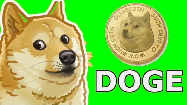 Dogecoin success story: Reddit ivestor becomes a millionaire – Deseret News