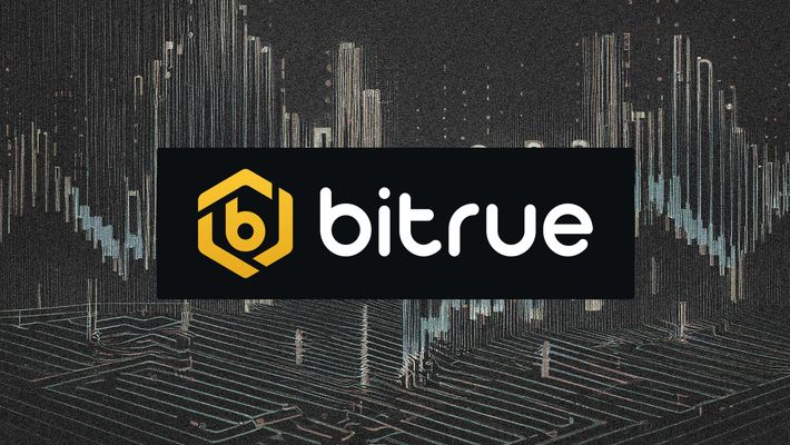 Bitrue Crypto Volume Data | Liquidity Finder