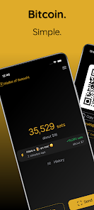 Satoshi Nakamoto Wallet Address — How Much Bitcoin Does Satoshi Have? | CoinCodex