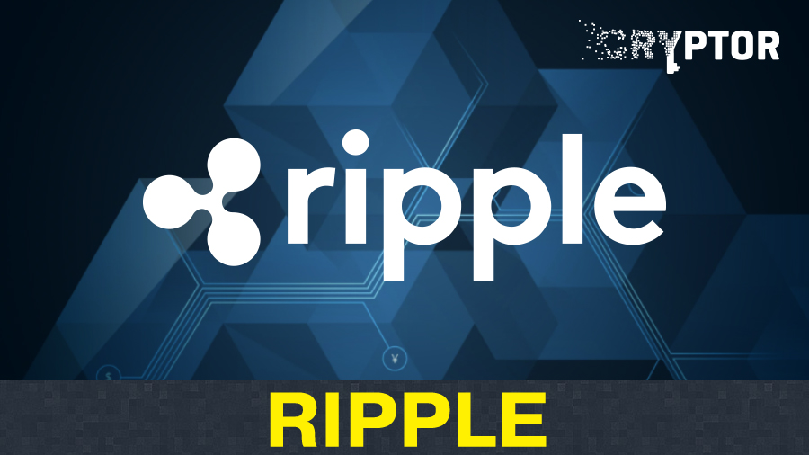 Screenplay Review – Ripple
