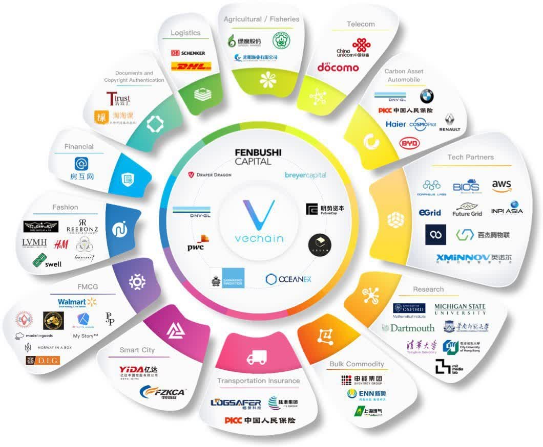 VeChain Disappoints Despite Tier-1 Partners, DigiToads Has A 20X Strategy For 