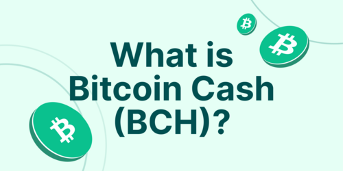 Bitcoin-cash (BCH)| Bitcoin-cash Price in India Today 03 March News - India Today