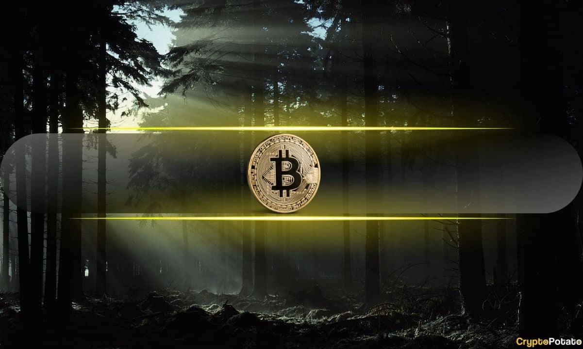 Bitcoin Creator Satoshi Nakamoto Receives $M in BTC, Bewildering Crypto Enthusiasts